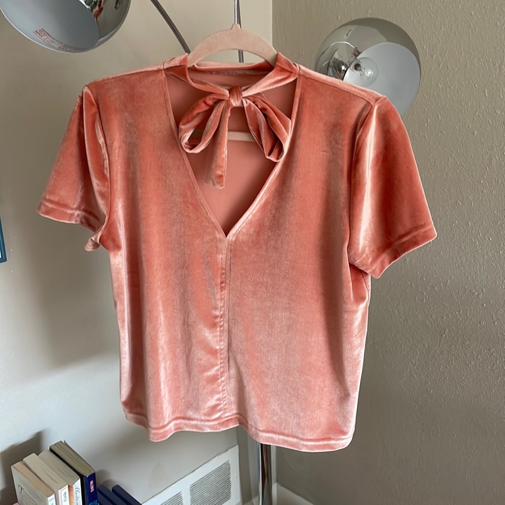 Perfect Condition Peach Velvet Madewell Tie-Neck Top